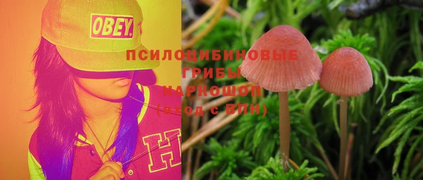 гидропоника Баксан